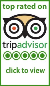 Trip Advisor